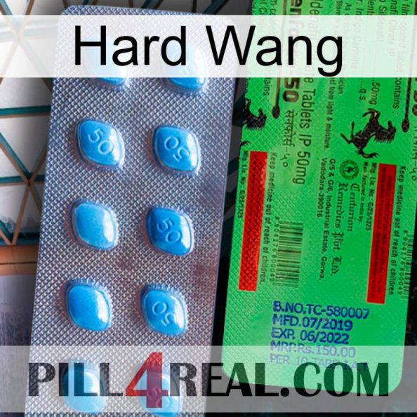 Hard Wang new03.jpg